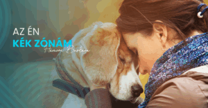 Több mint háziállat: Így vált a kutya a modern ember legfontosabb lelki támaszává